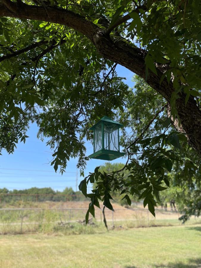 Pet Friendly Graham Home Route 66 At The Mistletoe Farm Eksteriør bilde